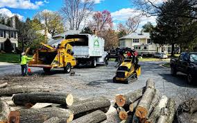  Front Royal, VA Tree Care Services Pros